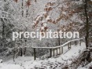 precipitation