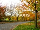 .: seasons :.