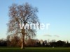 .: winter :.